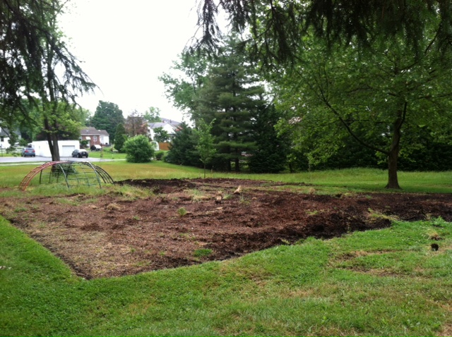 plumtree park 6 3 13 4